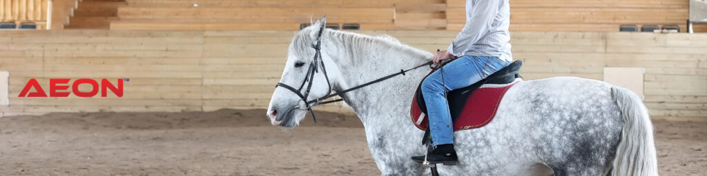 led lights for horse arenas