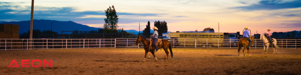 equestrian arena lights