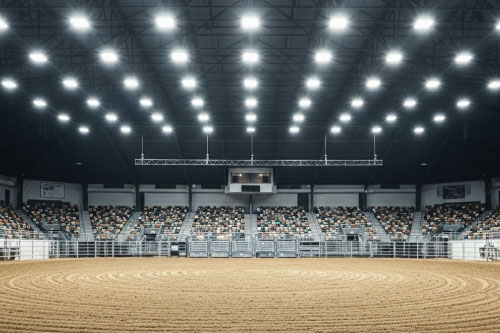 Arena-Gem25-500