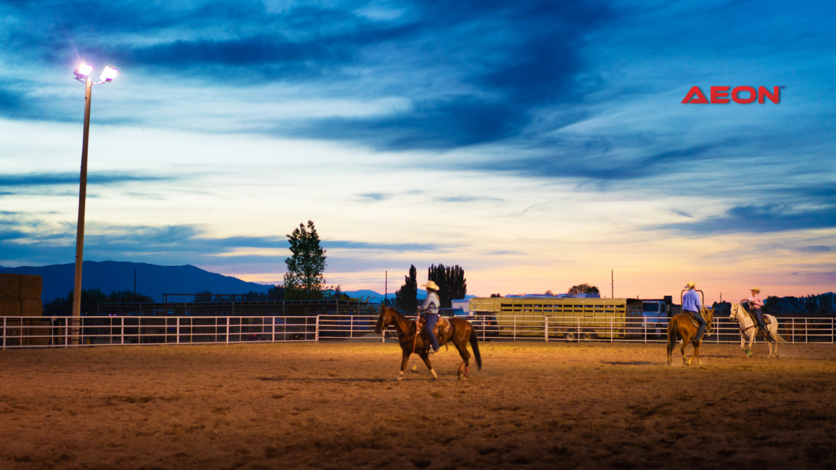 rodeo arena lighting