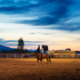 rodeo arena lighting