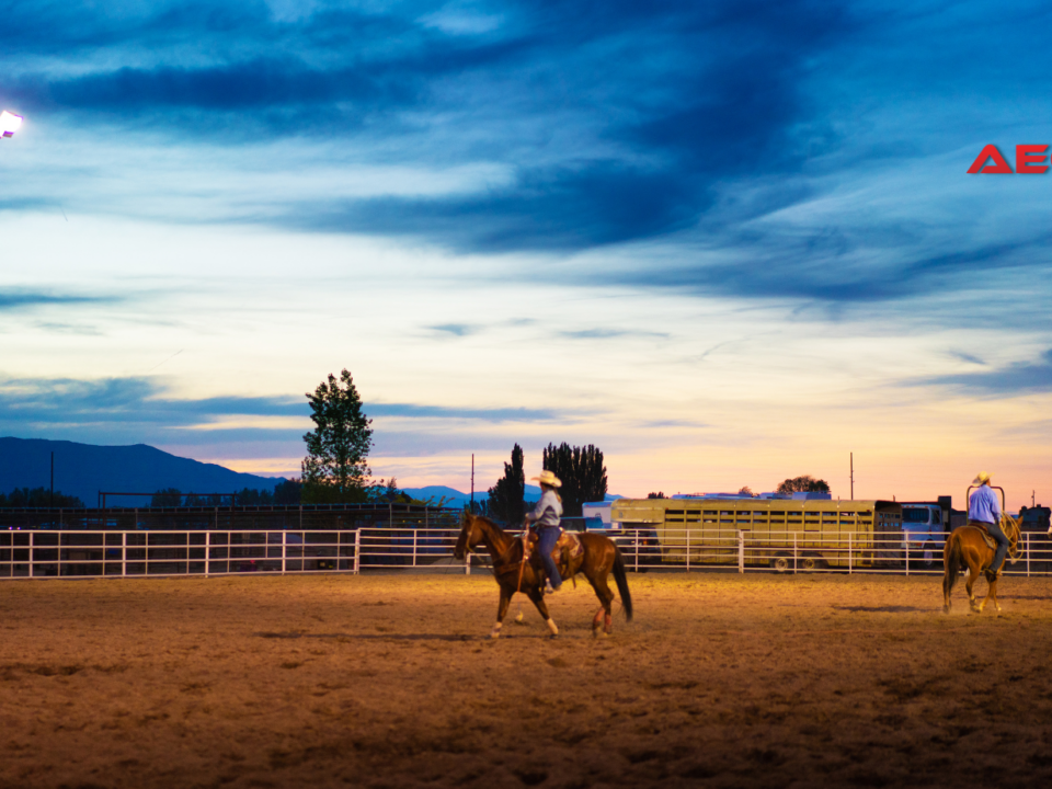 rodeo arena lighting
