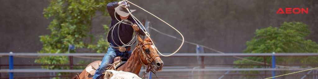 best lights for rodeo arena